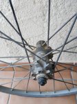 IMG_20160404_110850.jpg