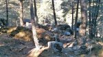 IMG_20160409_101553.jpg