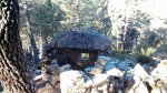 IMG_20160409_101639.jpg