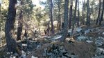IMG_20160409_101647.jpg