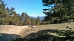 IMG_20160409_123056.jpg
