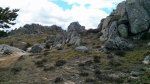 IMG_20160409_140449.jpg