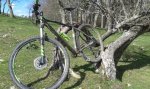 20160410_115812.jpg