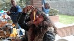 IMG_20160410_161109.jpg
