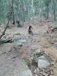IMG_20160410_120431.jpg