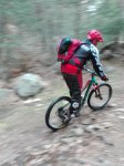 IMG_20160410_120434.jpg