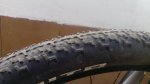 IMG_20160411_170017.jpg