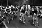 amstel80-hinault-kelly-raas-920.jpg