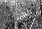amstel-car-crash-1000.jpg