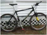 Stumpjumper 95.PNG