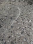 IMG_20160415_104526.jpg