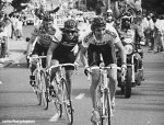 amstel87-rooks-break-920.jpg