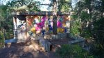 CORRIOLS 17-4-2016 004.JPG