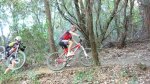 CORRIOLS 17-4-2016 005.JPG