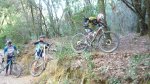 CORRIOLS 17-4-2016 006.JPG