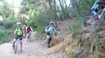 CORRIOLS 17-4-2016 007.JPG