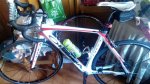 IMG_20160229_174810.jpg