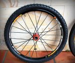 Lefty-Mavic 004.JPG