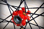 Lefty-Mavic 005.JPG