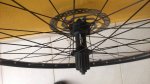 WP_20160419_19_00_38_Pro.jpg