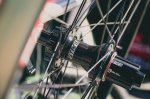 fuller_BT_20160416_untitled_shoot_046_3.jpg
