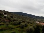 IMG_20160422_092114.jpg