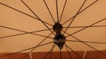 IMG_20160416_141942.jpg