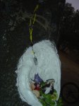 dsc04657__medium_.jpg