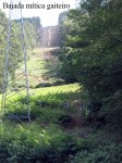 img_2154.jpg
