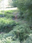 img_2153.jpg