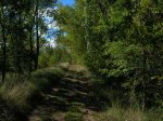 DSCN1706.JPG