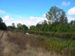 DSCN1722.JPG
