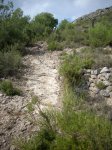 DSCN0664.jpg