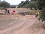 Redimensionamiento de DSCN1979.JPG