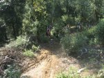 IMG_1572.JPG