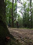 2007-09-29 Artikutza0168.JPG