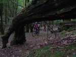 2007-09-29 Artikutza0245.JPG