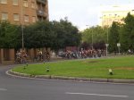 CIMG1517.JPG