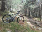 20160423_110415.jpg