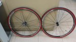 IMG-20160406-WA0000.jpg