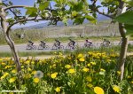 trentino16st3-flowers-920.jpg