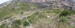 FILE0010 - copia - copia.JPG