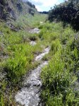 DSC_0131.jpg