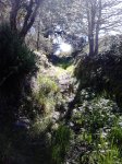 DSC_0127.jpg