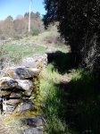 DSC_0125.jpg