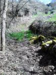 DSC_0119.jpg