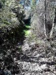DSC_0118.jpg