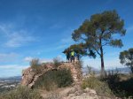 20160306_110334.jpg