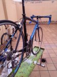 IMG_20160410_165138.jpg