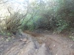BTT SERRALADA MARINA (8).JPG
